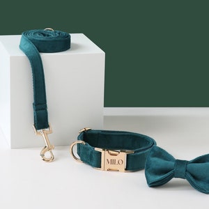 Turquoise Velvet Dog Collar Bow tie Set, Personalized with Engraved Name Plate, Gold Metal Buckle Collar for Wedding Dog Outfit