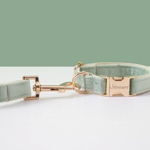 May include: A light green velvet dog collar with a gold buckle that says "Stewart". The collar is attached to a matching leash.