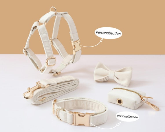 Girl dog hotsell harness and leash