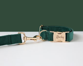May include: A green velvet dog collar and leash set with a gold buckle. The buckle is engraved with the name "Rocky".