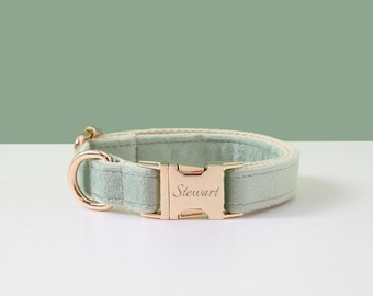 May include: A light green velvet dog collar with a gold buckle and the name "Stewart" engraved on it.