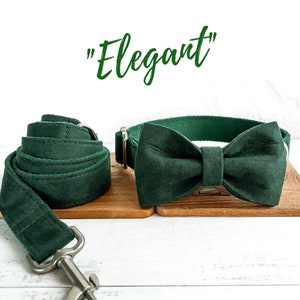 Green Dog Velvet Collar, Boy Collar Custom Dog Collar, Personalized Dog Collar, Small Dog Collar, Puppy Collar Girl Dog Collar and Leash Set