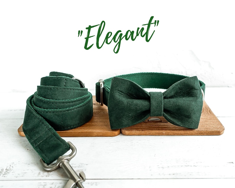 Green Dog Collar Boy Collar Custom Dog Collar Personalized Etsy UK