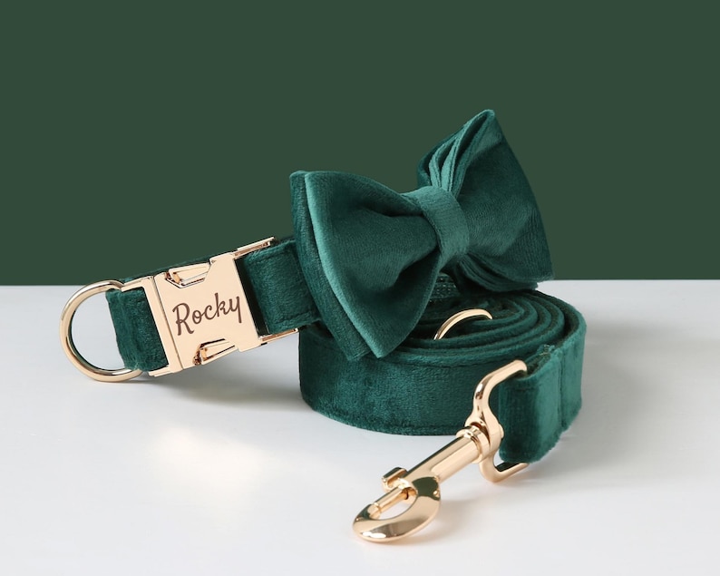 Personalized Dog Harness and Leash Set Green Custom Velvet Etsy