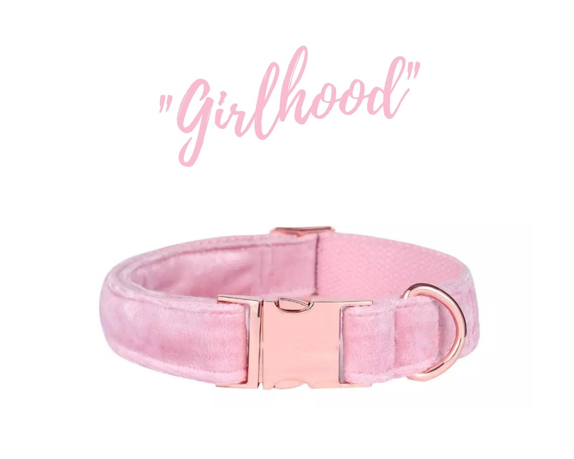 Pink Dog Collar Adjustable Collar and Leash Set for Etsy