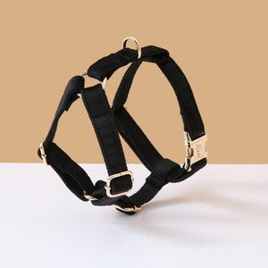 Dog Harness and Leash Set,Black Dog Harness Leash, No Pull Harness, Boy Dog Harness Small Dog, Puppy Harness Set