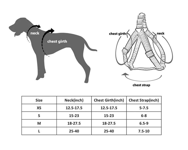 Girl Dog Harness Leash Dog Collar Harness No Pull Harness Etsy