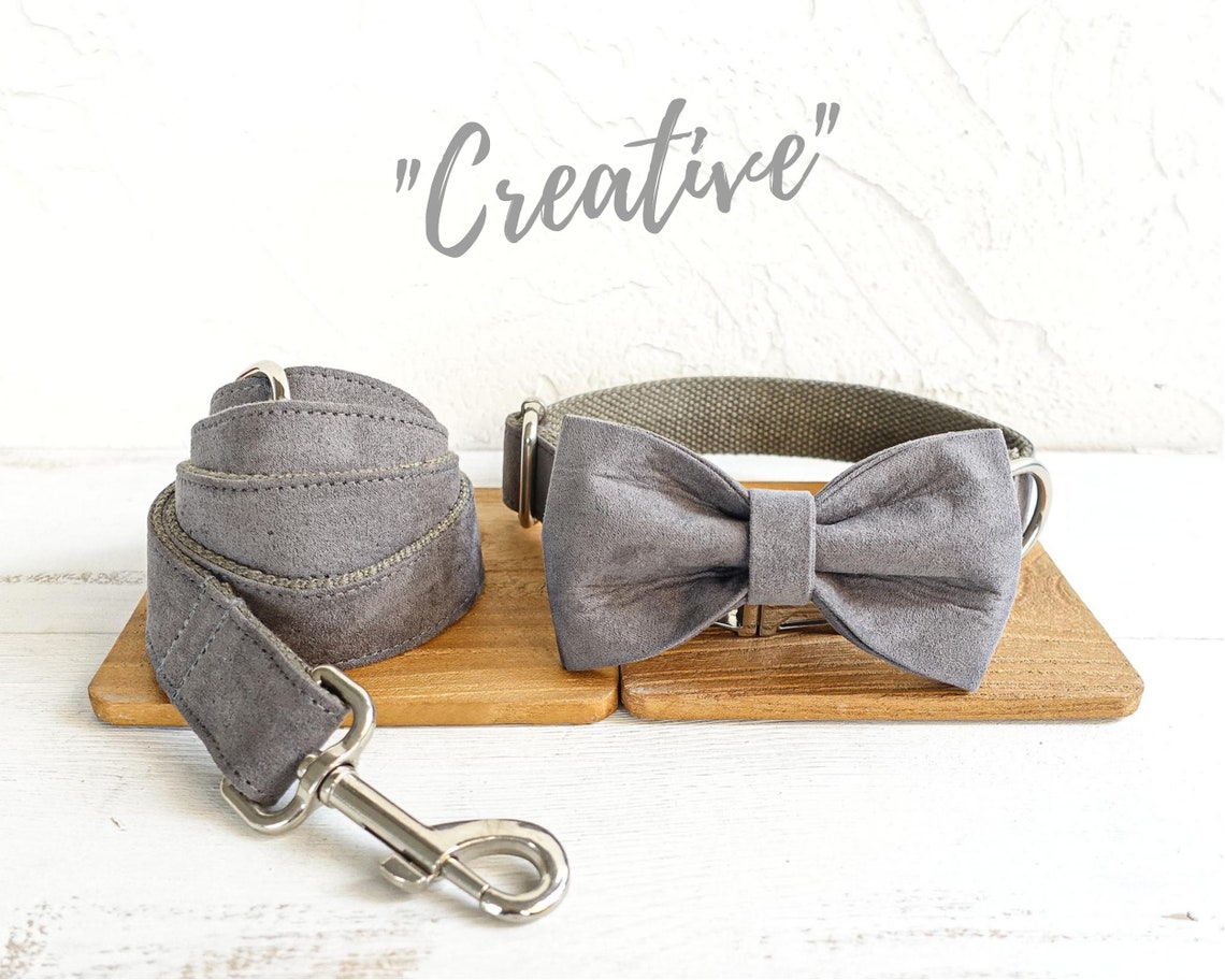 Dog Collar Personalized Engraved Nameplate Collar and Leash Etsy