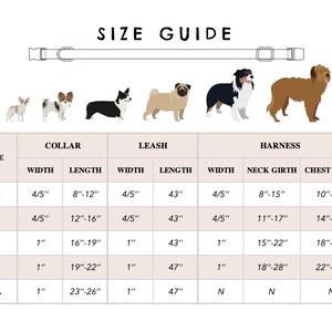 May include: Size guide chart for dog collars, leashes, and harnesses. The chart shows the size, width, length, neck girth, and chest girth in inches. The chart is illustrated with different dog breeds.
