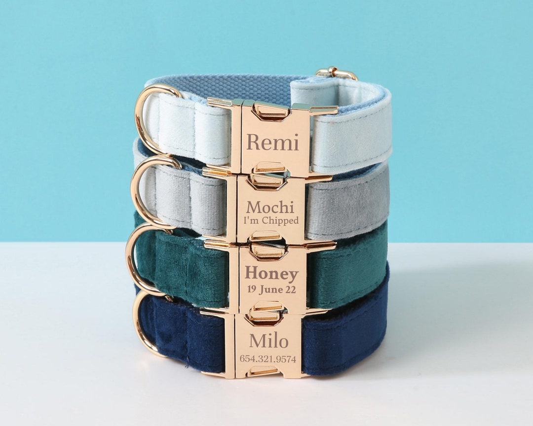 Blue Dog Collar With Personalized Nameplate, Custom Bow Tie Dog Collar ...