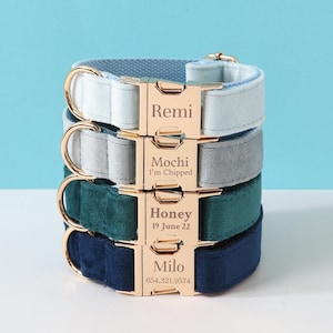 Blaues Hundehalsband mit personalisiertem Namensschild, individuelles Hundehalsband mit Fliege und Leine/Leinen-Set, Welpen-Halsband für kleine Hunde und Mädchen-Hunde