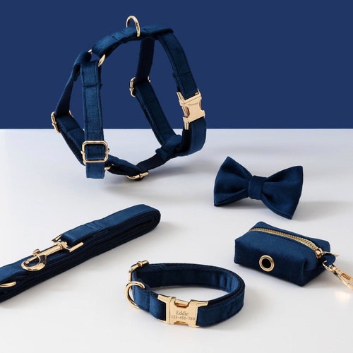 Personalized Dog Harness and Leash Set Green Custom Velvet Etsy