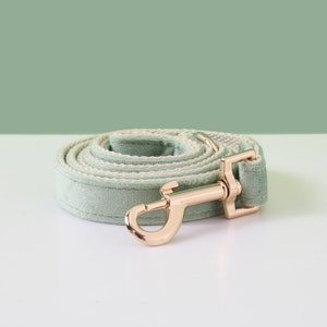 May include: A light green dog leash with a gold metal clasp. The leash is made of a soft, velvety material.