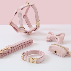 Personalized Dog Harness and Leash Set, Baby Pink Custom Velvet Harness Collar Bow Poo Bag Holder, No Pull Harness for Girl Puppy