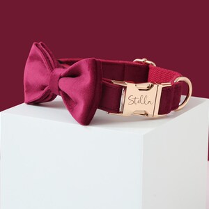 May include: Burgundy velvet dog collar with a matching bow tie and a gold buckle engraved with the name "Stella".
