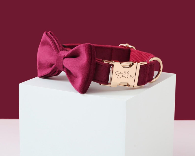 May include: Burgundy velvet dog collar with a matching bow tie and a gold buckle engraved with the name "Stella".