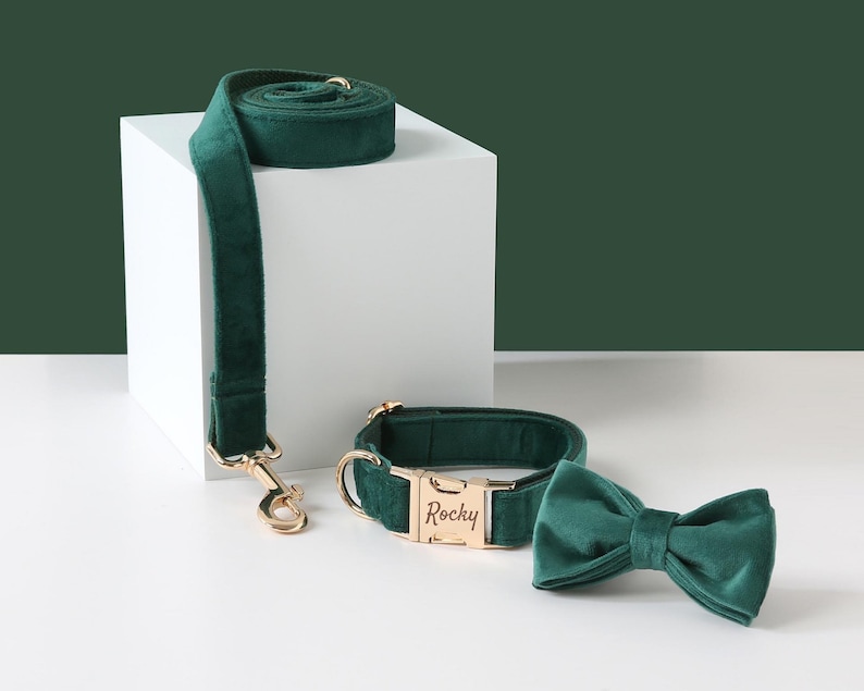 Personalized Dog Harness and Leash Set Green Custom Velvet Etsy