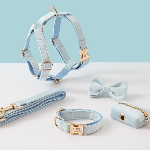 Personalized Dog Harness and Leash Set Green Corduroy Velvet Etsy