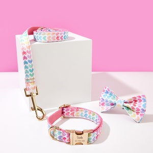 Etsy dog collars and leashes 2025