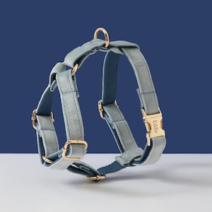 Blue Velvet Dog Harness and Leash Set, Boy Dog Harness, Personalized Dog Harness Leash, No Pull Harness, Female Dog Harness Small Dog