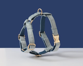 Ensemble harnais et laisse en velours bleu pour chien, harnais pour chien garçon, laisse harnais pour chien personnalisé, harnais sans traction, harnais pour chienne petit chien