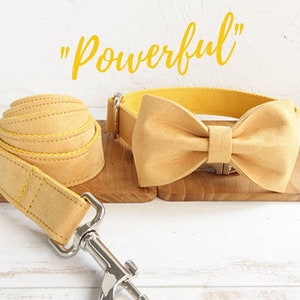 Yellow Dog Collar Boy, Velvet Collar, Custom Dog Collar Bow, Personalized Collar, Small Dog Collar, Puppy Collar Girl Dog Collar and Leash