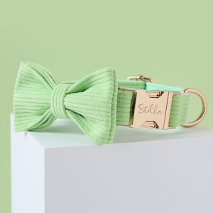 Set collare e guinzaglio per cani in velluto a coste verde lime, collare e guinzaglio per cani incisi personalizzati gratuiti, velluto verde