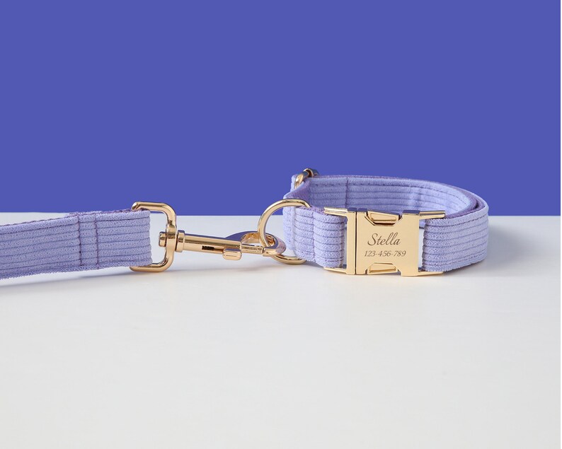May include: A lavender corduroy dog collar and leash set with a gold buckle. The buckle has the name "Stella" and phone number "123-456-789" engraved on it.