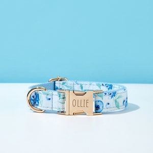 May include: A blue and white floral dog collar with a gold buckle. The buckle has the name "Ollie" engraved on it.