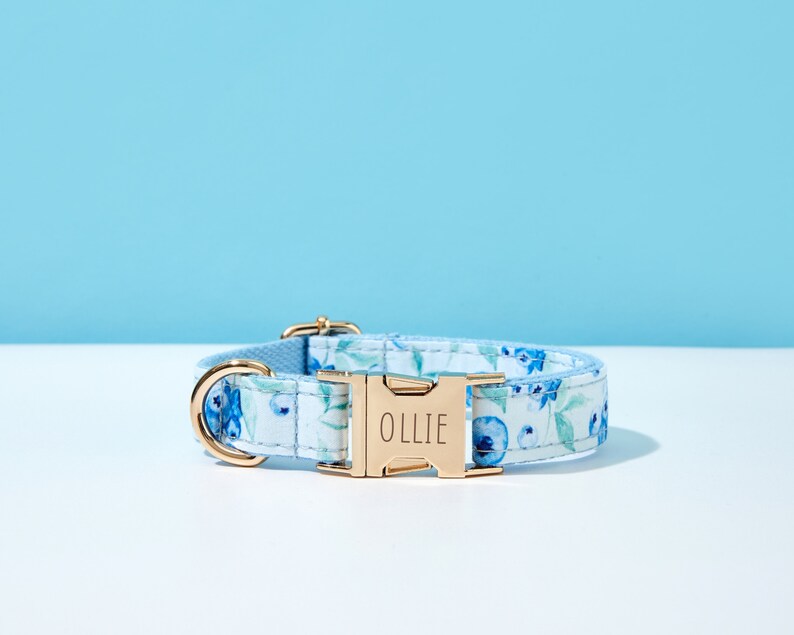 May include: A blue and white floral dog collar with a gold buckle. The buckle has the name "Ollie" engraved on it.