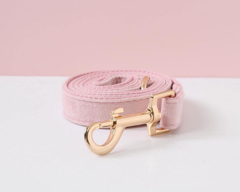 May include: A pink velvet dog leash with a gold metal clasp.