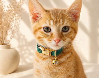 Engraved Velvet Cat Collar with Name, Christmas Gift for Cat