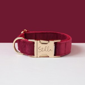 May include: Burgundy velvet dog collar with a gold buckle engraved with the name "Stella".