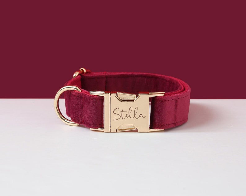 May include: Burgundy velvet dog collar with a gold buckle engraved with the name "Stella".