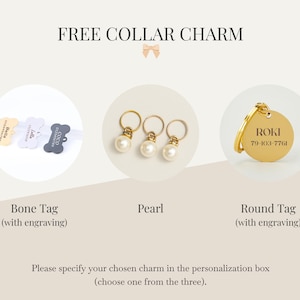 Personalisiertes Hundehalsband und Leine-Set, Hochzeit Hundehalsband und Geschirr, kein Zuggeschirr für Jungen-Welpen und Mädchen-Hund Bild 3