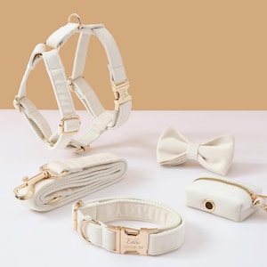 May include: A white dog harness, leash, collar, bow tie, and poop bag holder. The collar has a gold buckle with the name "Eddie" and phone number engraved on it.