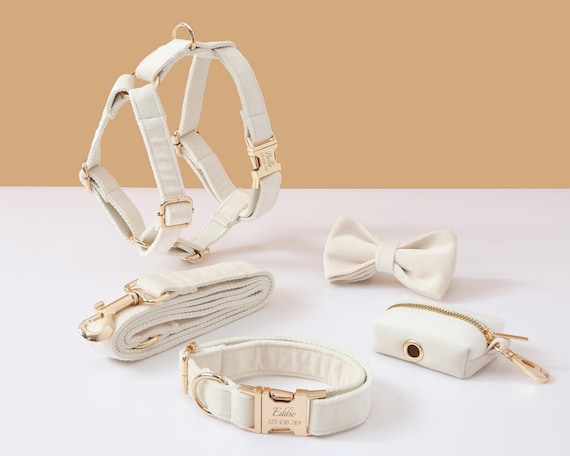Etsy dog hotsell harness and leash