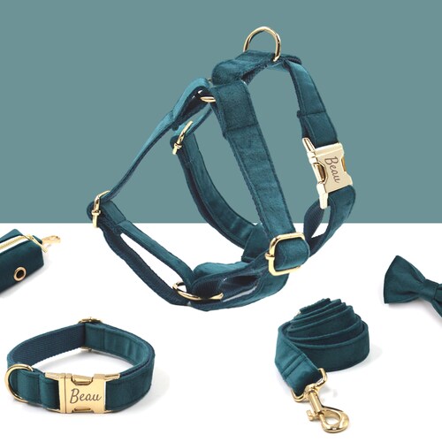 Personalized Dog Harness and Leash Set Pine Green Custom Etsy