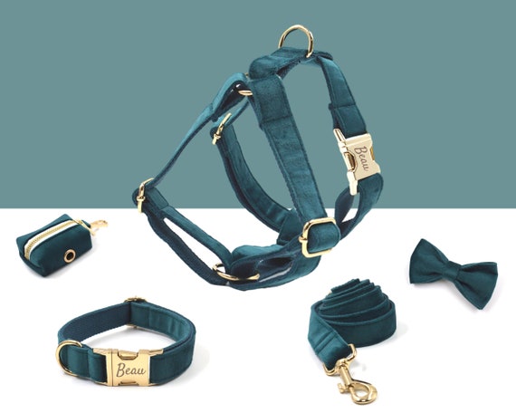 Personalisierte Hundegeschirr und Leinen Set, benutzerdefinierte Samt  Hundegeschirr Halsband Fliege Poo Beutelhalter, kein Zuggeschirr fr  Jungen-Welpen - Etsy.de