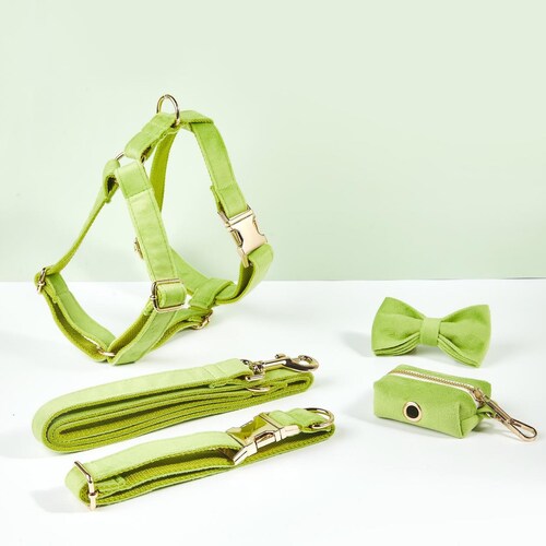 Sage Green Personalized Dog Harness and Leash Set Custom Etsy