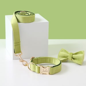 Lime Green Velvet Dog Collar Bow Set, Personalized Nameplate Collar and Leash, Name Engraved, Small Boy and Girl Dog, Free UK Shipping