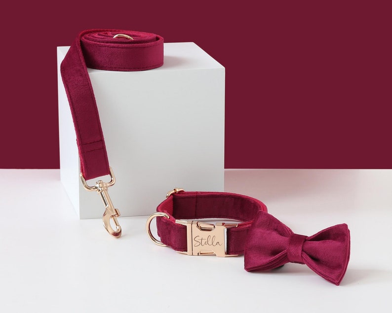 May include: Burgundy velvet dog collar and leash set with gold hardware. The collar has a personalized name tag that reads "Stella".