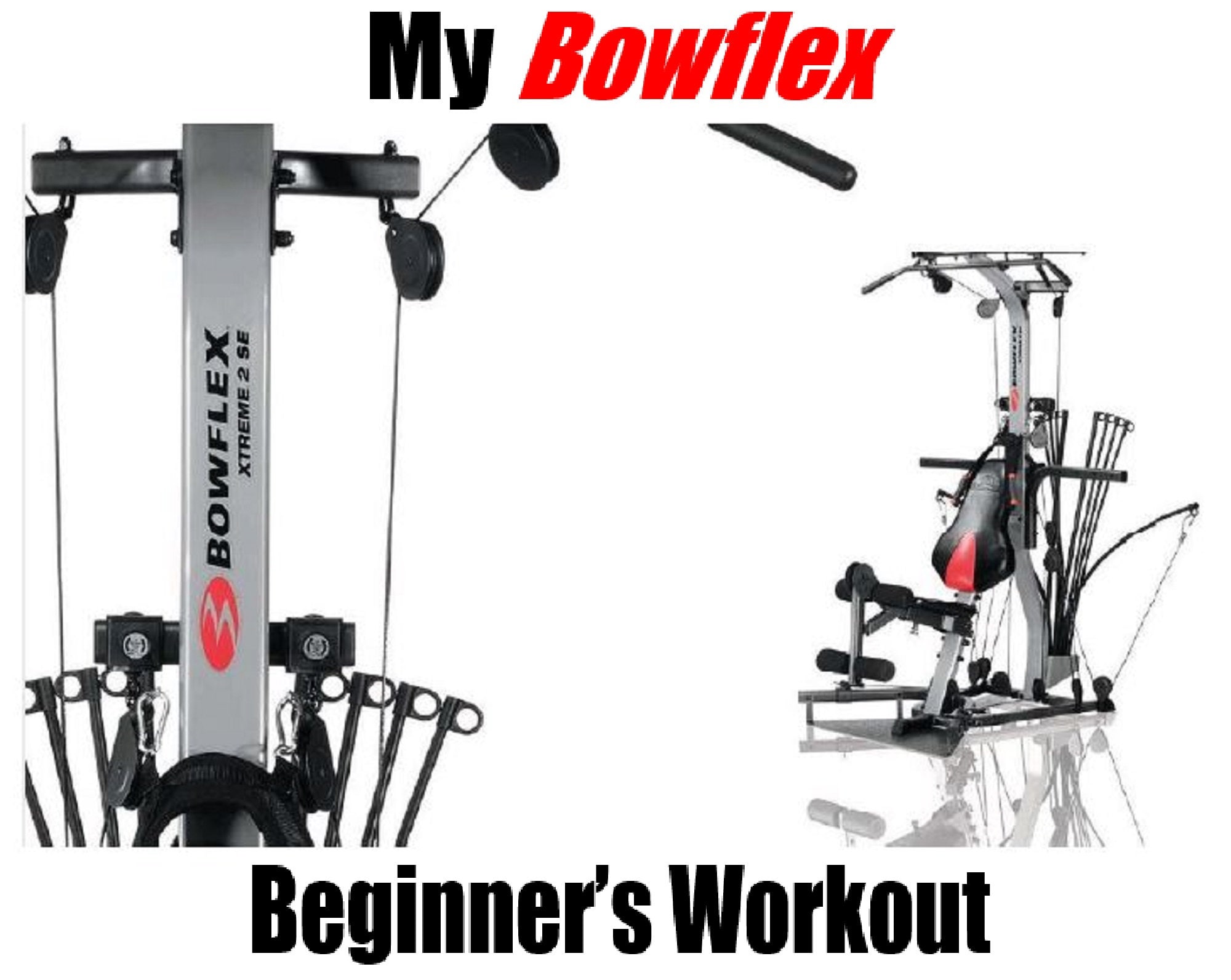 Schwinn Comp Bowflex for sale Only 4 left at 65