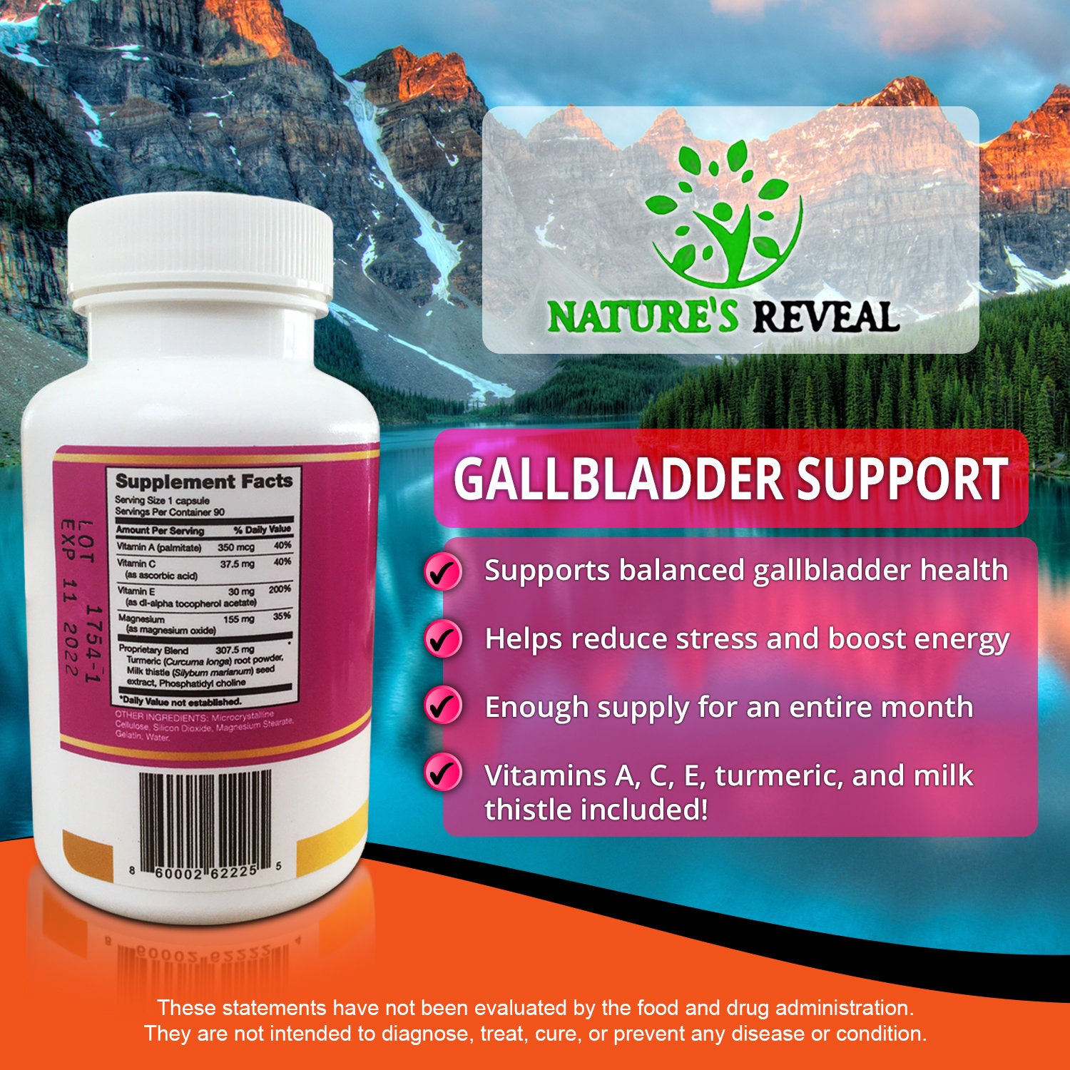 Gallbladder Support Vitamins and Supplement All Natural Etsy