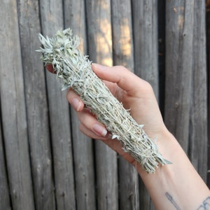 Mugwort Smudge Stick | Black Sage | Etheric Protection | Banish Nighmares | Lucid Dream | Witches Herb | Moxibustion | Artemisia Ludoviciana