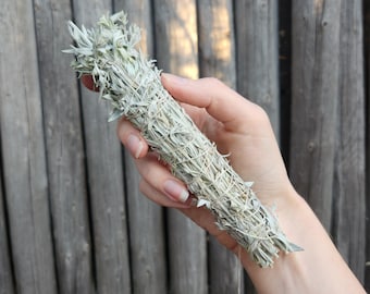 Mugwort Smudge Stick | Black Sage | Etheric Protection | Banish Nighmares | Lucid Dream | Witches Herb | Moxibustion | Artemisia Ludoviciana