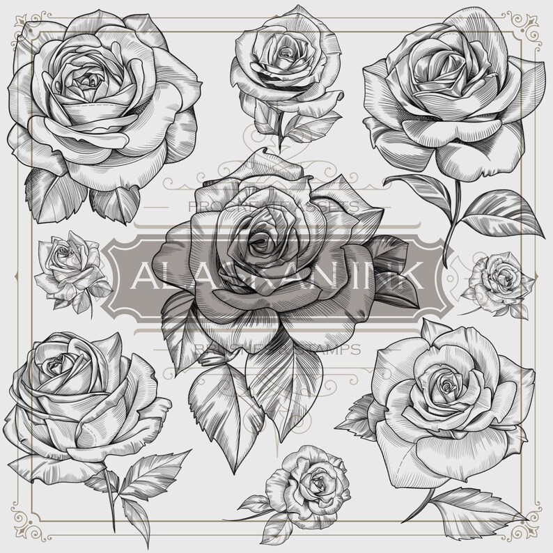 Roses Procreate Brushes Stencil Tattoo Procreate Stamps Etsy