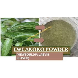 EWE  AKOKO (Newbouldia Laevis)- Undiluted Powder