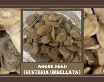 SEMI DI ABERE (semi miracolosi) Hunteria Umbellata