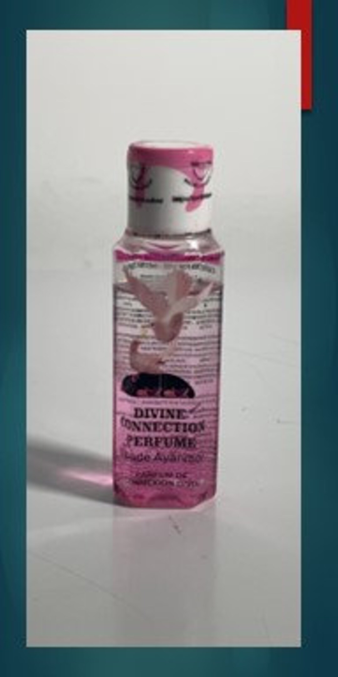 DIVINE CONNECTION PERFUME 50ML - Etsy